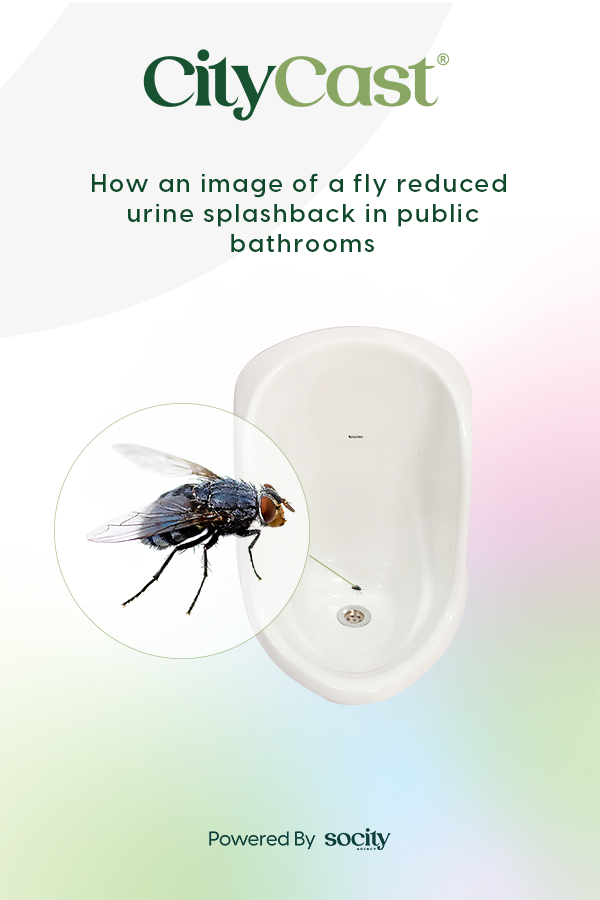 fly in public bathrooms